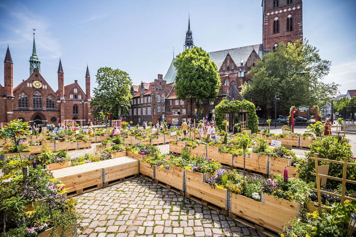 Kulturgrüne Komplimentegarten auf dem Koberg in Lübeck